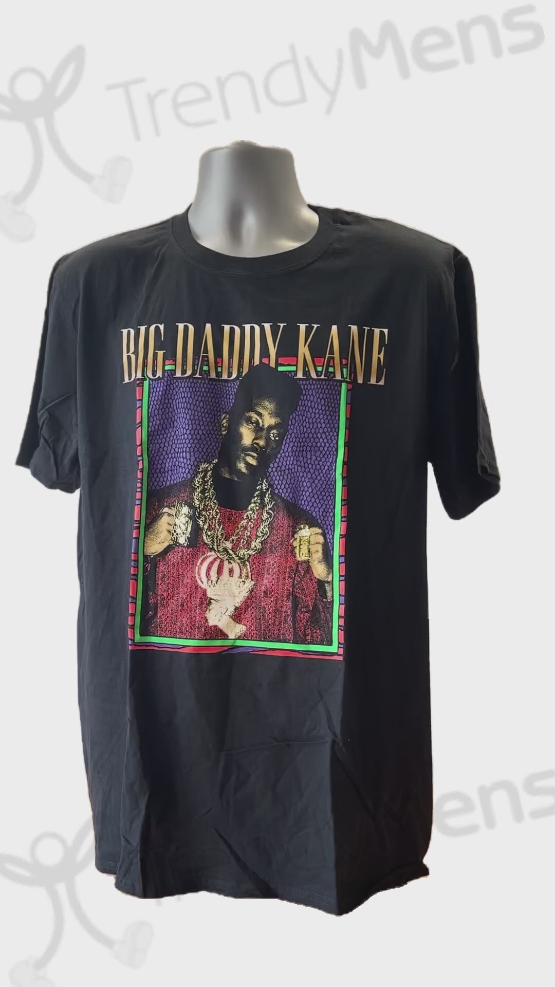 Buy Big Daddy Kane T-Shirt Half Steppin Graphic Print in Black Online